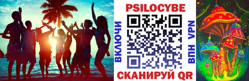 где продают наркотики  Михайлов  Псилоцибиновые грибы мицелий 
